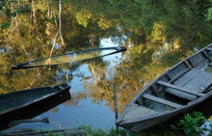 Manioc soaking in old dugout canoe at Nueva Esperanza