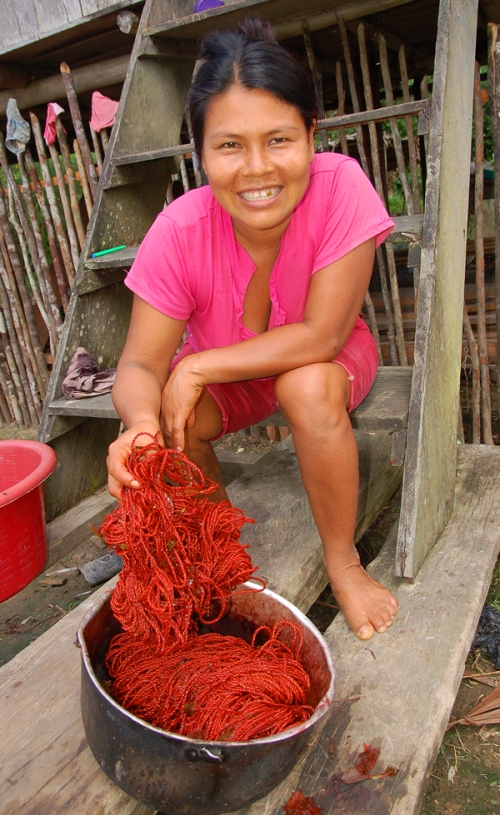 Casilda Vasquez and sisa dyed chambira. Photo by Campbell Plowden/Center for Amazon Community Ecology