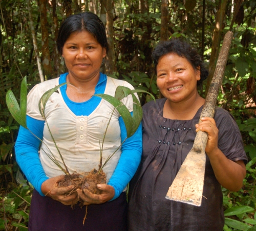 Lucila Flores and Ines Chichaco at chambira planting. Photo by Campbell Plowden/Center for Amazon Community Ecology