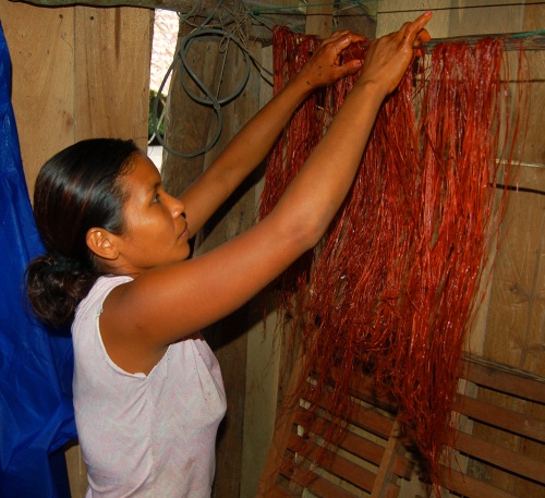 Bora artisan hanging chambira fibers dyed with sisa (Arribidaeae spp.)(2). Photo by Campbell Plowden/Center for Amazon Community Ecology